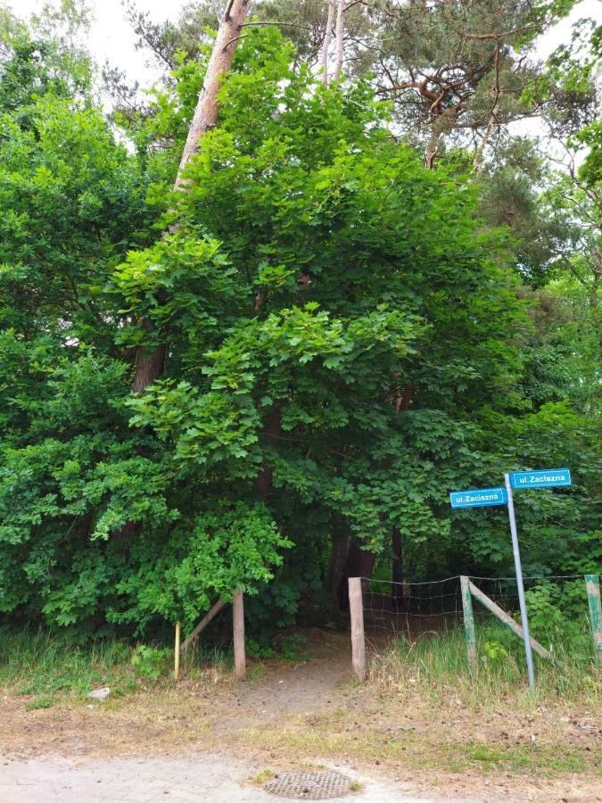 Apartament Alicja Międzywodzie Eksteriør billede